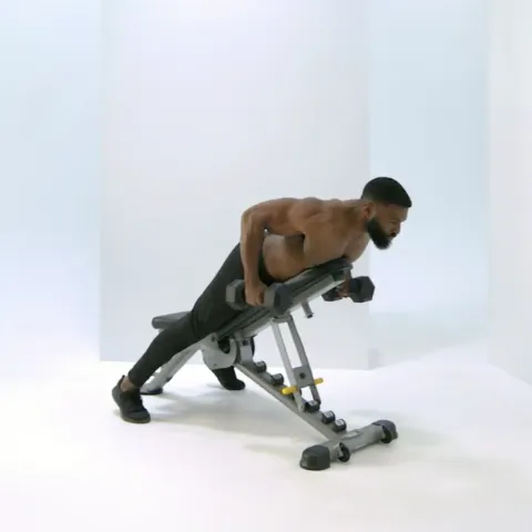 Isometric Dumbbell Bench Rows