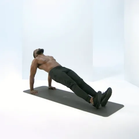Reverse Plank