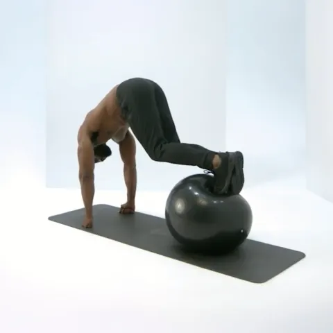 Swiss Ball Reverse Sit-Ups