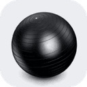 Swiss Ball equipment icon