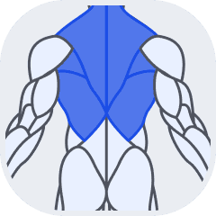 Back muscle group icon