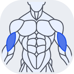 Biceps muscle group icon