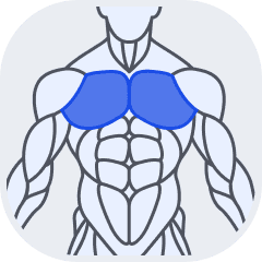Chest muscle group icon