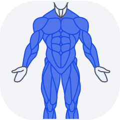 Full Body muscle group icon
