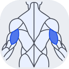 Triceps muscle group icon