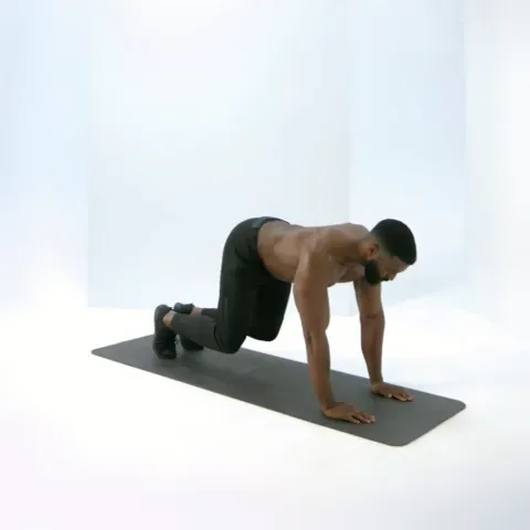 Bear Crawl Hold