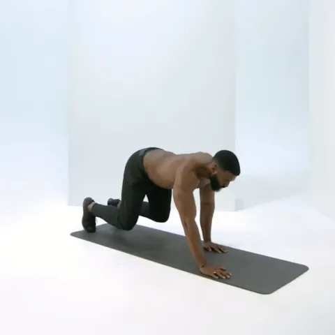 Bear Crawls