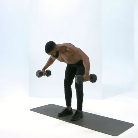 Dumbbell Rear Delt Raises