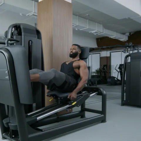 Leg Press