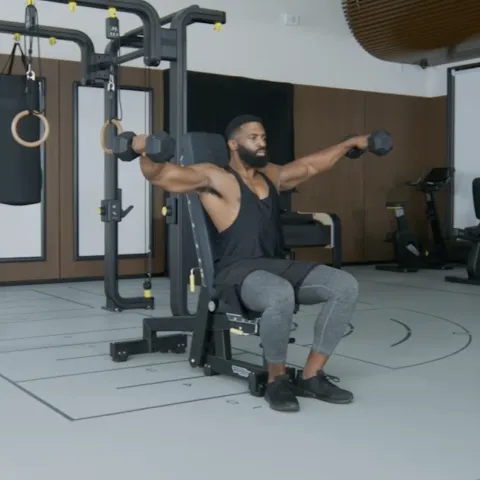 Seated Dumbbell Lateral Raises