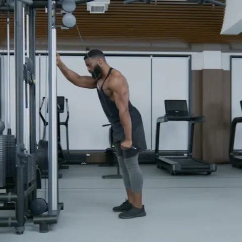 Single Arm Cable Pushdowns